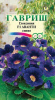 Глоксиния Аванти синяя F1 GSH 4шт (К)®