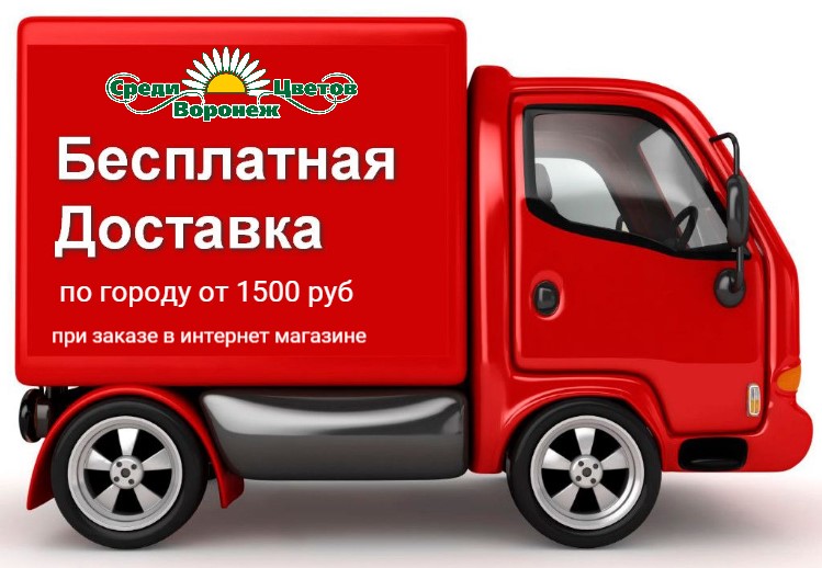 баннер.jpg